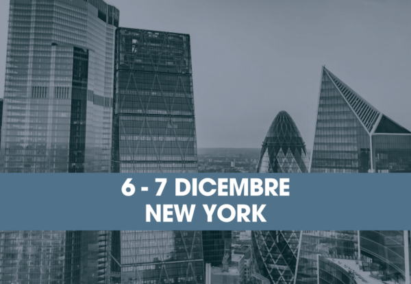 ansvi-evento-newyork-2024